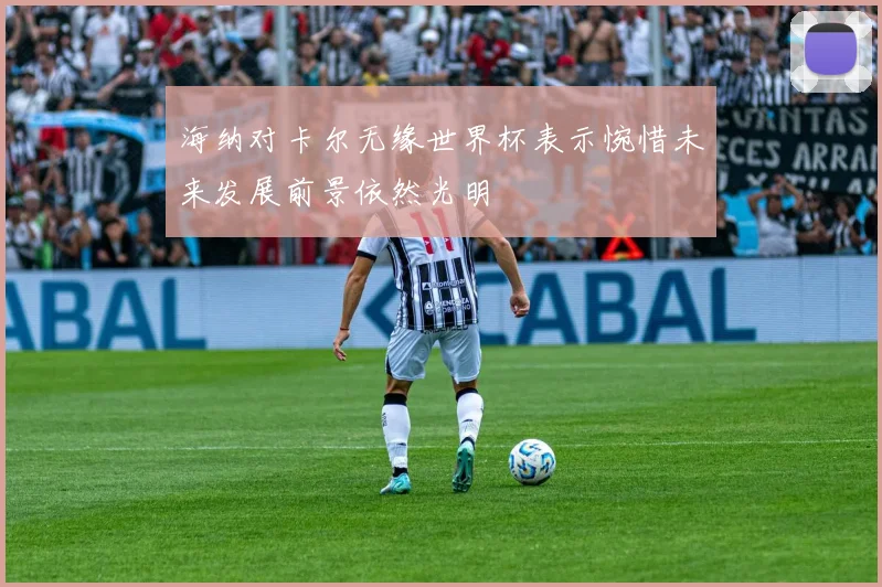 海纳对卡尔无缘世界杯表示惋惜未来发展前景依然光明